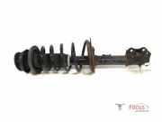 Federbein rechts vorne Suzuki Swift III EZ, MZ 4160151KA2