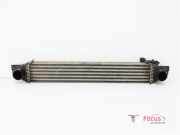 Ladeluftkühler Fiat Qubo 225 L8119001
