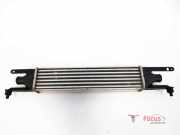 Ladeluftkühler Fiat Punto Evo 199 00000