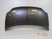 Motorhaube Fiat 500 312 52009424