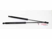 Heckklappendämpfer Renault Twingo III BCM 904518604R