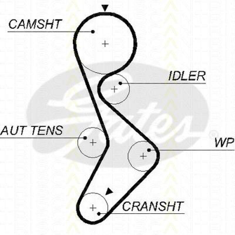 Zahnriemen TRISCAN 8645 5579XS