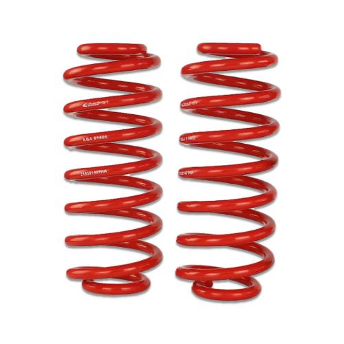 EIBACH Sportline Federn + SACHS Stoßdämpfer Bild EIBACH Sportline Federn + SACHS Stoßdämpfer