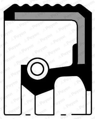 Wellendichtring, Nockenwelle PAYEN NA5035 Bild Wellendichtring, Nockenwelle PAYEN NA5035