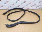 Dichtung für Koffer-/Laderaumklappe BMW 3er Cabriolet (E93) 7129231