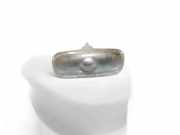 Zusätzliche Blinker AUDI A6 Avant (4F5, C6) 3.0 TDI quattro 8E0949127