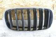 Kühlergrill oben BMW X5 (F15, F85) 7316076