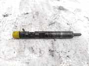 Düsenstöcke Renault Grand Scenic II (JM) 8200132793