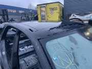 Dach MERCEDES-BENZ GLE (W167) 450 4-matic (167.159)