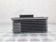 Audio-Verstärker Audi A4 (8E, B7) 8T0035223J