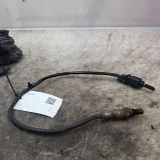 Sauerstoffsensor (Lambdasensor) OPEL INSIGNIA A Estate (G09) 1.6 CDTi (35) 55502863