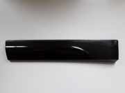 Seitentürleiste links