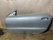 Vordere linke Tür MERCEDES-BENZ SL (R230) 350 (230.456) A2307220110