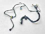 Kabel der vorderen linken Tür NISSAN PULSAR Hatchback (C13) 1.2 DIG-T 241253ZL0D