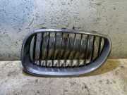 Vorderer oberer Gitter BMW 5 (E60) 530 d 7065701