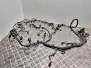 Motor Kabelbaum FORD C-MAX II (DXA/CB7, DXA/CEU) 1.0 EcoBoost ENG311008 J1DT12C508fad