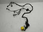 Türverkabelung hinten links