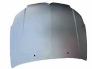 Motorhaube CITROËN C5 II (RC_) 1.8 16V