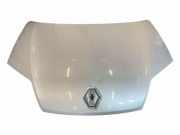 Motorhaube RENAULT LAGUNA III (BT0/1) 2.0 dCi (BT01, BT09, BT12, BT1S)