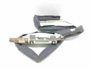 Dach SRS rechts RENAULT GRAND SCÉNIC III (JZ0/1_) 1.9 dCi EX2006060139 BAMPT11615