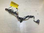 Motor Kabelbaum BMW F40 (F40)118i E2G338 8678974