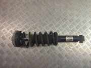 Stoßdämpfer hinten links BMW X3 (F25) xDrive 35 i 33526796317 6796317