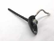 Antenne Dach Toyota Prius (W3)