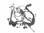 Motor Kabelbaum MERCEDES-BENZ SLK (R172) 250 CDI / d (172.403) A6511502256