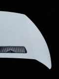 Motorhaube CITROËN JUMPY Furgon 1.6 HDi 90 16V