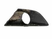 Blende Nebelscheinwerfer Ford C-Max II (DXA) AM51R19953AA
