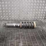 Stoßdämpfer hinten links PORSCHE 911 (991) 3.8 Turbo 99133305728 991.333.057.28