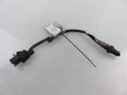 Sauerstoffsensor (Lambdasensor) NISSAN PATHFINDER III (R51) 4.0 4WD 0258007204