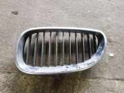 Kühlergrill oben BMW 5er Touring (E61) 7065701