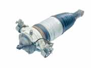 Stoßdämpfer rechts hinten Porsche Cayenne 2 (92A) 95835802000