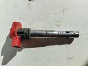 Hochspannungszündkabel (Steckkabel) AUDI A6 Avant (4F5, C6) S6 quattro 06D905115D CL015