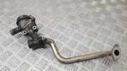 AGR-Ventil MERCEDES-BENZ C Coupe (CL203) C 180 Kompressor (203.746) 0021406260