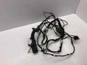 Türverkabelung hinten rechts