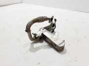 AGR-Kühler VW TOUAREG (7P5) 4.2 V8 TDI 057131515