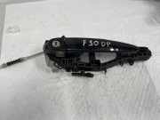 Türgriff rechts hinten BMW 3er Touring (F31) 4894309