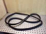 Türdichtung Toyota Land Cruiser (J12)