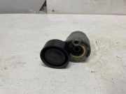 Generatorriemen des Spanners RENAULT MEGANE III Coupe (DZ0/1_) 1.6 dCi (DZ00) 117202608R