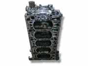 Motorblock VOLVO XC60 D5 AWD D5244T10 31316735