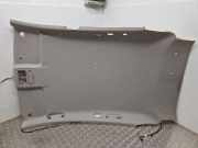 Dachverkleidung RENAULT KOLEOS I (HY_) 2.0 dCi (HY0K)