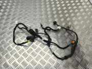 Kabel der vorderen linken Tür NISSAN MICRA V (K14) 1.0