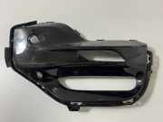 Blende Nebelscheinwerfer BMW X5 (G05, F95) 8073440
