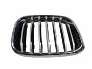 Vorderer oberer Gitter BMW X3 (G01, F97) xDrive 30 e Plug-in-Hybrid 7464922