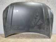 Motorhaube VW Tiguan I (5N)
