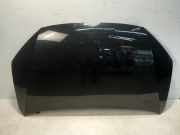 Motorhaube VW Sharan (7N)