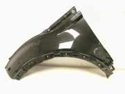 Kotflügel vorne links