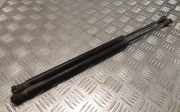 Heckklappe Gasdruckfeder links RENAULT GRAND SCÉNIC II (JM0/1_) 1.5 dCi (JM02, JM13) 8200377199